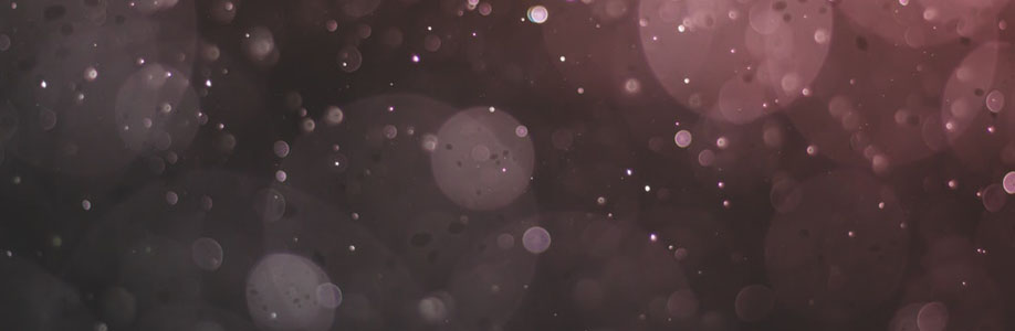 Tina Brekke Cover Image